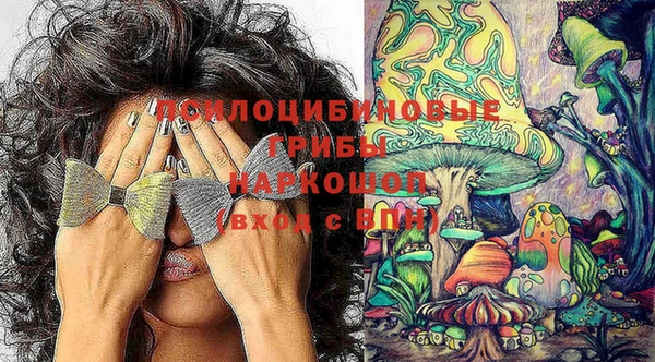 скорость Заводоуковск