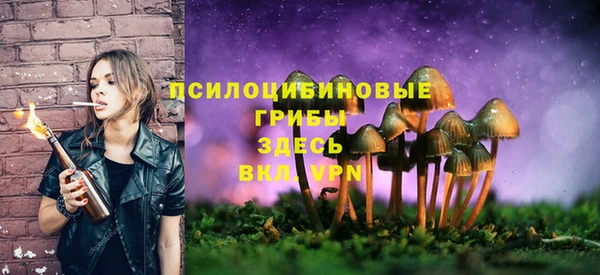 дмт Зеленокумск