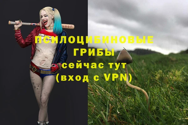 дмт Зеленокумск