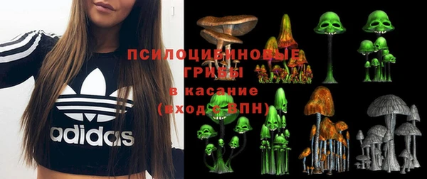 эйфоретик Зерноград