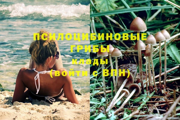 дмт Зеленокумск
